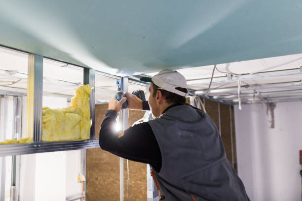 Best Insulation Removal Services  in Water Mill, NY